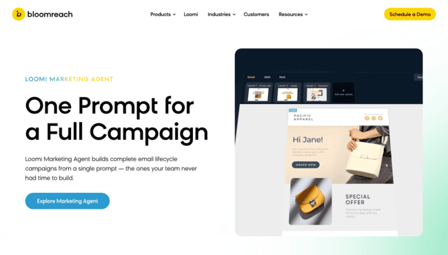 Bloomreach Salesforce alternative ecommerce personalization automation
