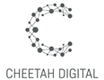 Cheetah Digital email marketing software