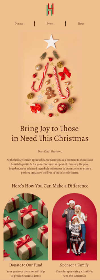 christmas email template for nonprofit industry by Stripo
