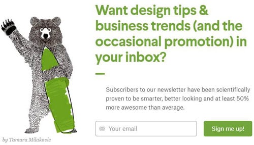 ecommerce email opt-in bear subscribe