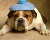 9 headaches to avoid when switching email service provider