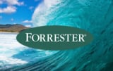 Forrester Wave email marketing vendors 2018 – our analysis